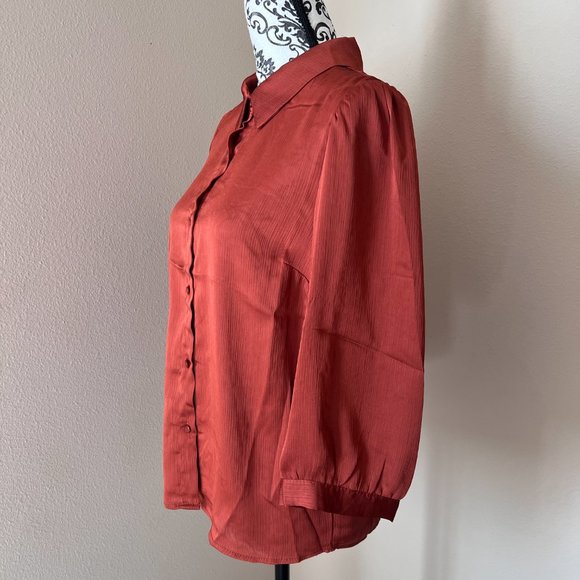 NEW Monteau Button Down Collared Blouse - Copper - Size Large - Picture 6 of 6